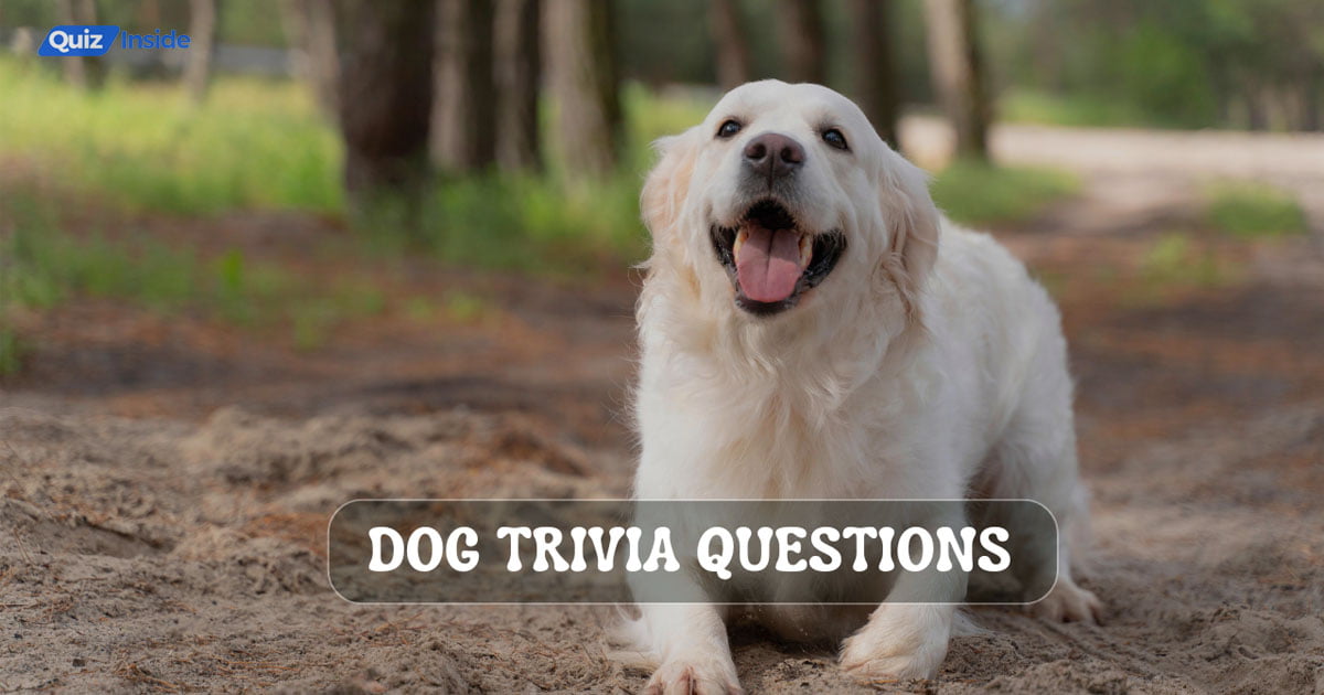 101 Best Dog Trivia Questions And Answers Quiz Inside