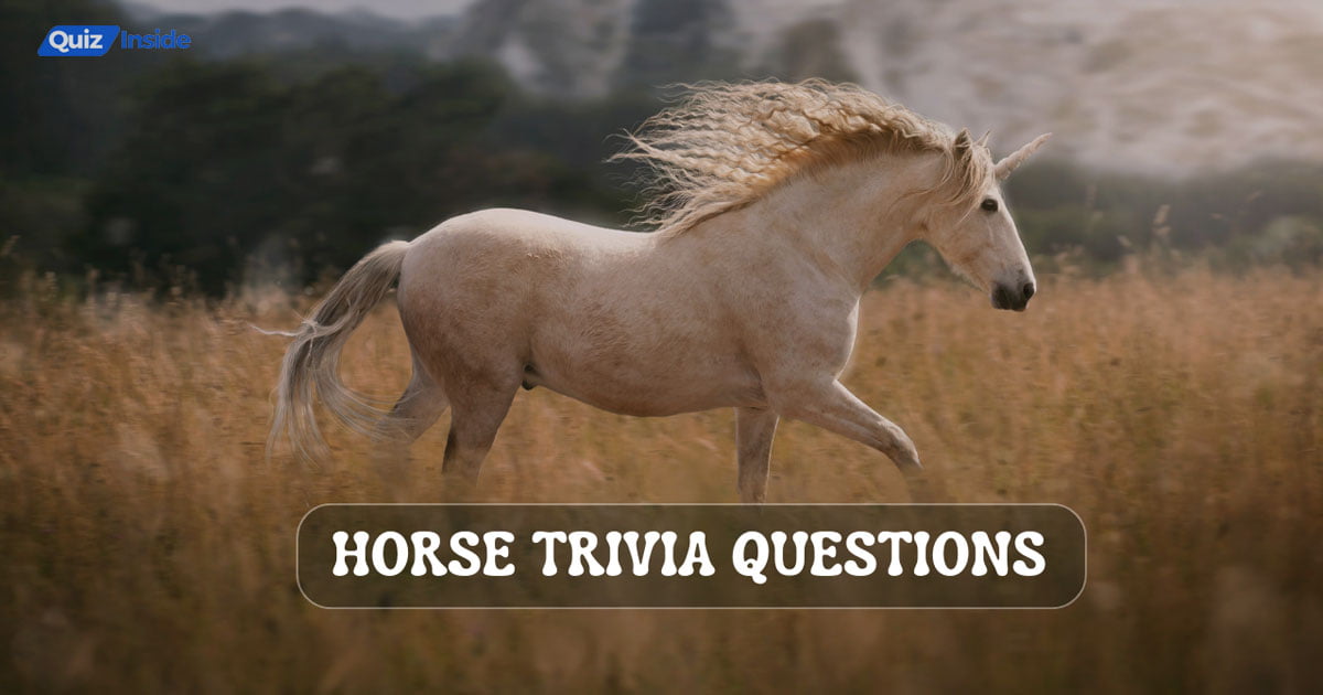 101 Best Horse Trivia Questions And Answers Quiz Inside
