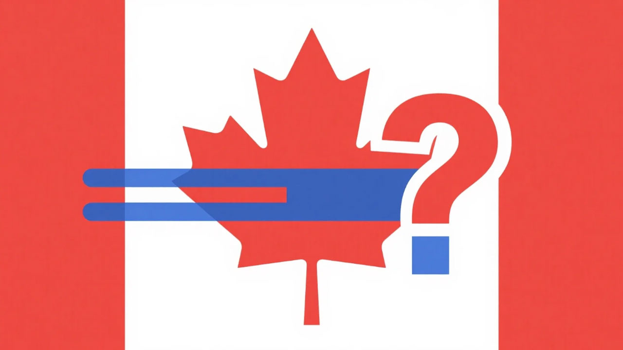 What country uses this flag
