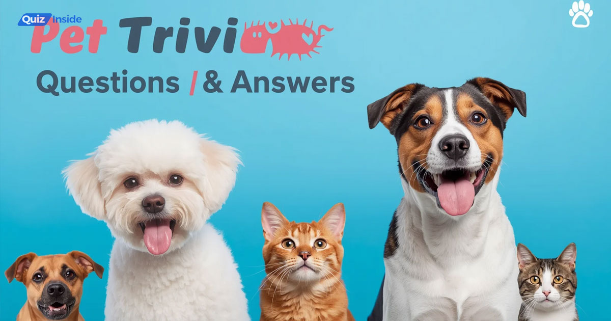 Pet Trivia Questions and Answers