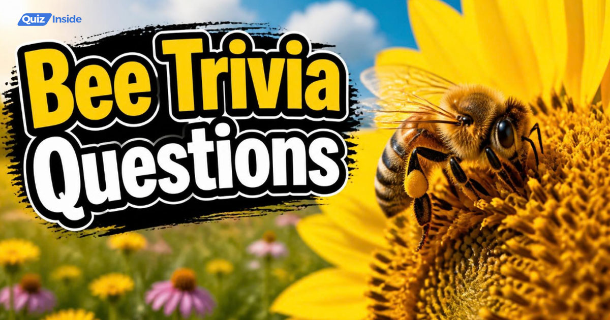 Amazing Bee Trivia Questions That’ll Leave You Buzzing With Surprise